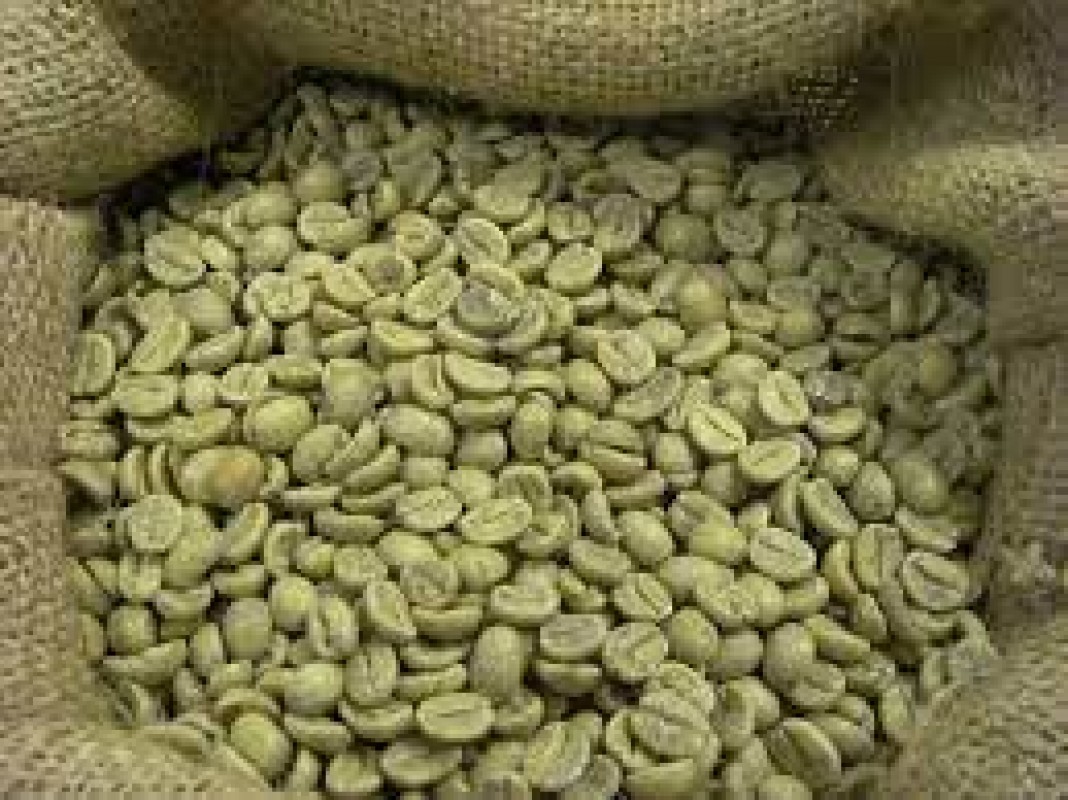 Green Coffee Bean from Etiopia